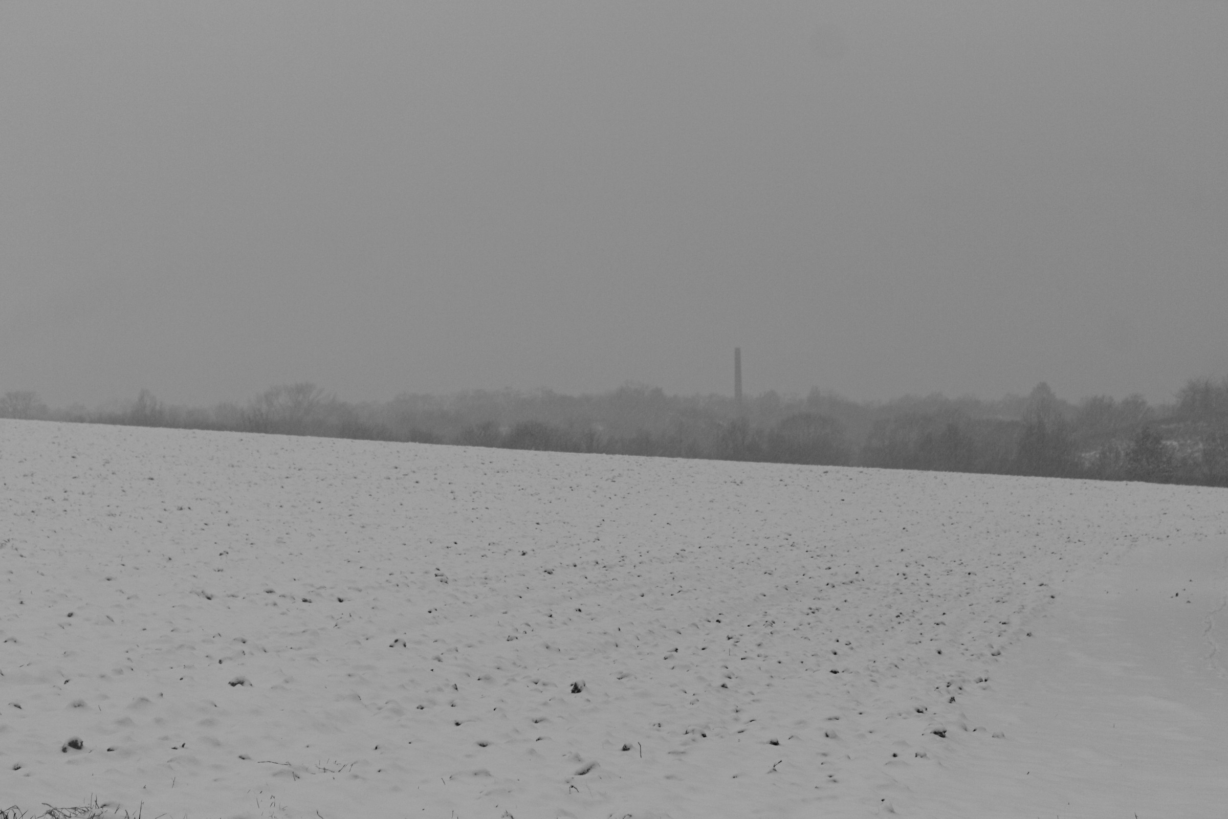 Zum Album Eiswüste